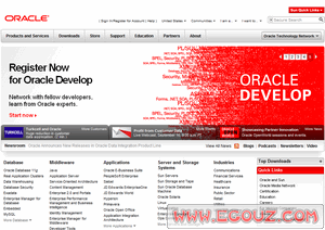 企業(yè)在線資源與軟件開發(fā)整合指南 從公司目錄到專業(yè)服務(wù)